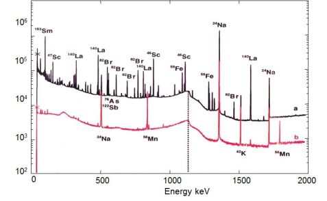 Figure 3: Gamma ray spectra